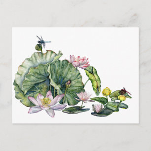 Japanese Water Lilies and Lotus Flowers Postcard