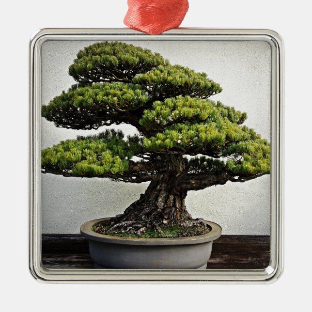 Japanese White Pine Bonsai Metal Tree Decoration (Front)
