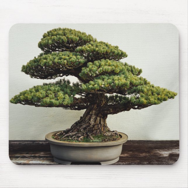 Japanese White Pine Bonsai Tree Mouse Mat (Front)