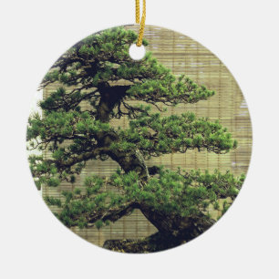 Japanese White Pine Bonsai Tree Photo Ceramic Tree Decoration