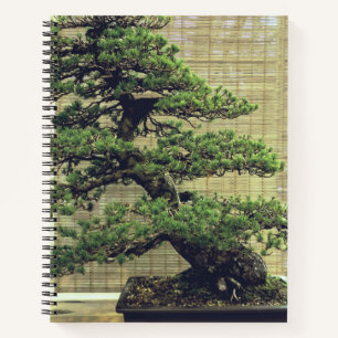 Japanese White Pine Bonsai Tree Photo Notebook