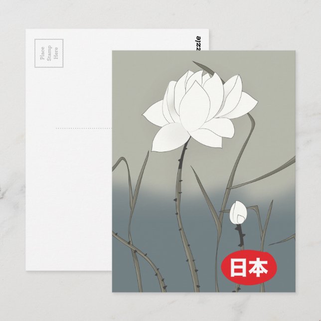 Japanese White Rose Postcard (Front/Back)
