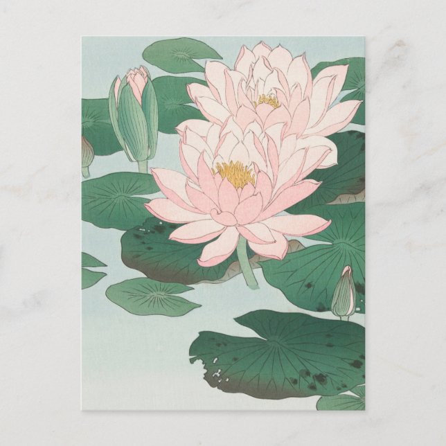 Japanese Woodblock Art Print Pink Water Lily Postcard (Front)