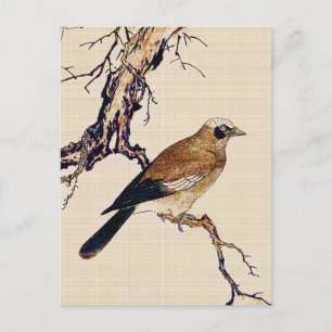 Japanese Woodcut of a Finch, Brown and Beige Postcard