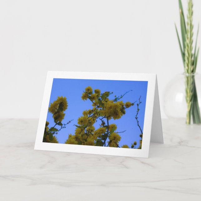 Japnonica Card (Front)