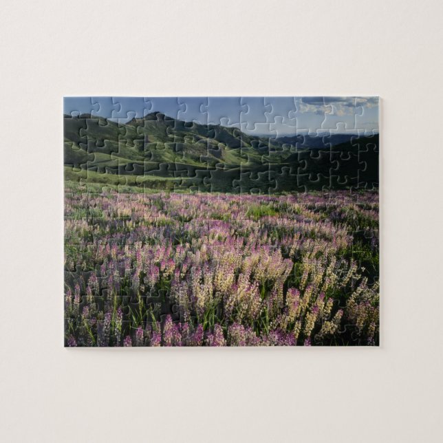 Jarbridge Wilderness and Mountains, Nevada, Spur Jigsaw Puzzle (Horizontal)