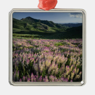 Jarbridge Wilderness and Mountains, Nevada, Spur Metal Tree Decoration