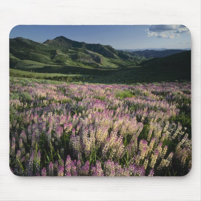 Jarbridge Wilderness and Mountains, Nevada, Spur Mouse Mat (Front)