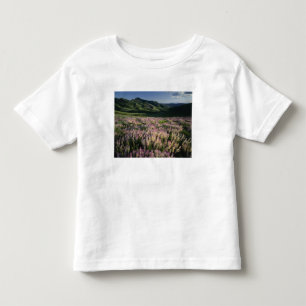 Jarbridge Wilderness and Mountains, Nevada, Spur Toddler T-Shirt