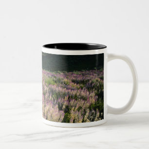 Jarbridge Wilderness and Mountains, Nevada, Spur Two-Tone Coffee Mug