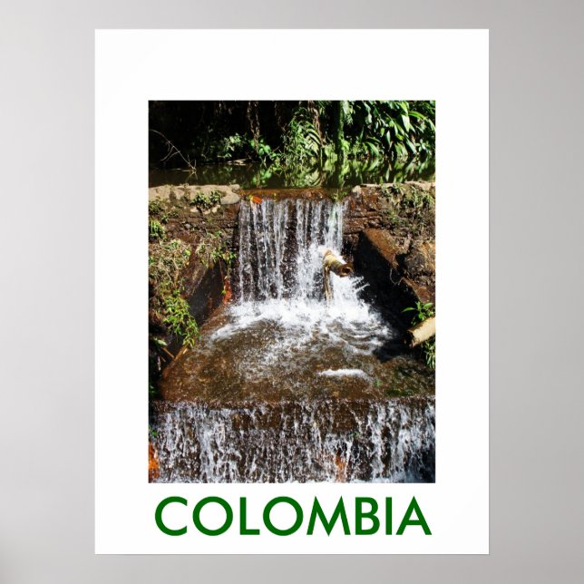 JARDIN BOTANICO, MARSELLA POSTER (Front)