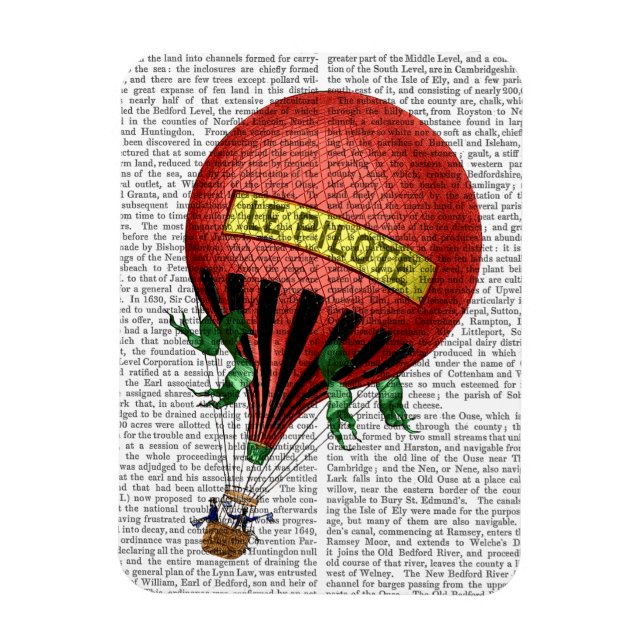 Jardin De Tuileries Hot Air Balloon Magnet (Vertical)