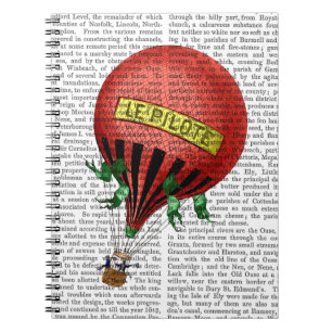Jardin De Tuileries Hot Air Balloon Notebook