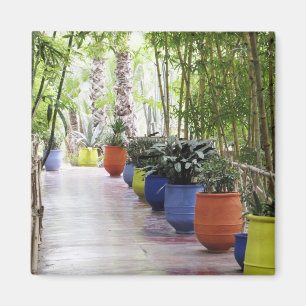 Jardin Majorelle, Majorelle Garden, now a public Magnet