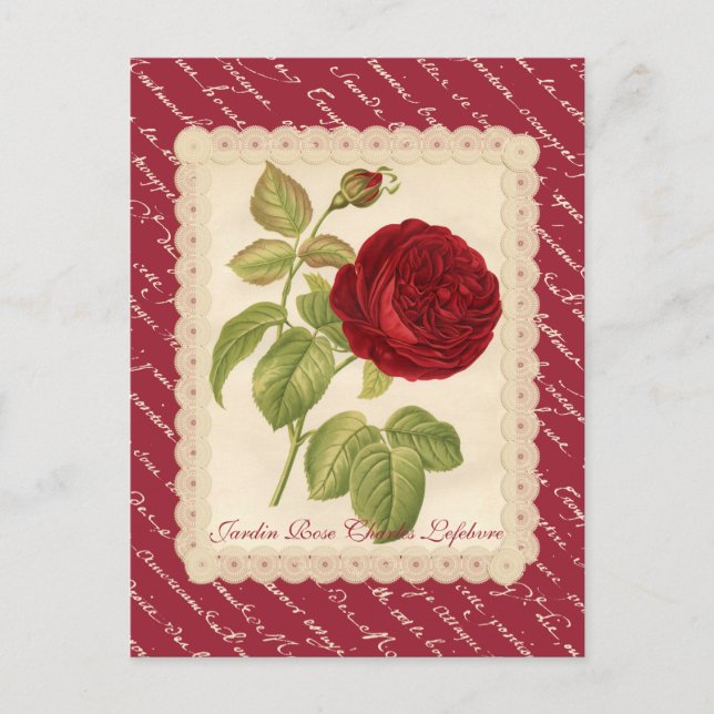 Jardin Rose Charles Lefebvre Postcard (Front)