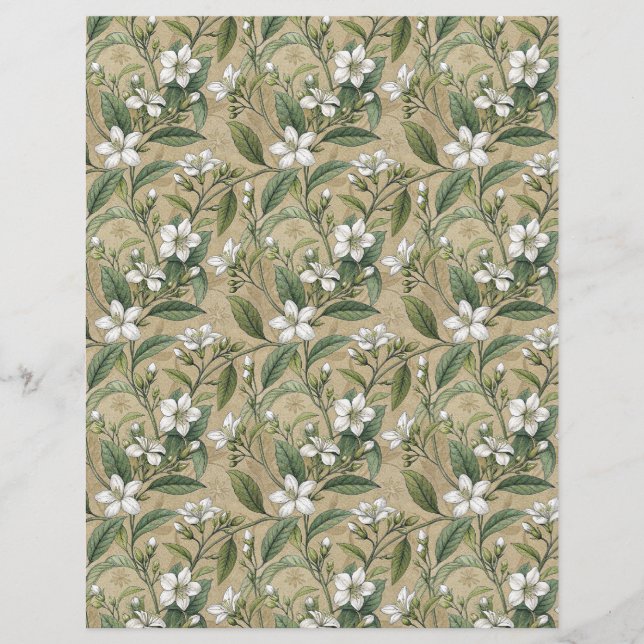 Jasmin Flowers bontanic scrapbook paper white (Front)