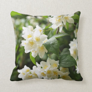 Jasmin tree in garden cushion