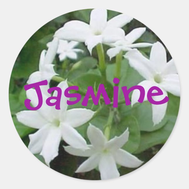 Jasmine Classic Round Sticker (Front)