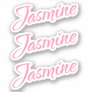 Jasmine Decorative Name in Pink x3 Sticker