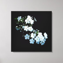 'Jasmine Detail' Wrapped Canvas Print