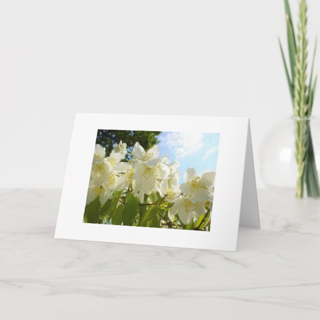 Jasmine Flower Note Card (Front)