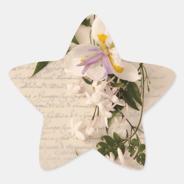 jasmine flowers and lily with script star sticker (Front)