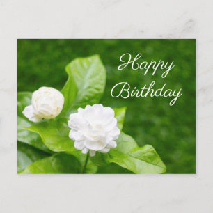 Jasmine flowers are on green birthday card