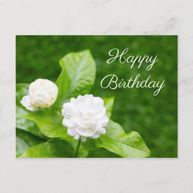 Jasmine flowers are on green birthday card (Front)