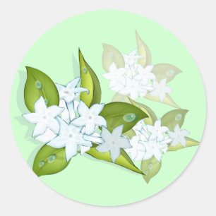 Jasmine flowers stickers