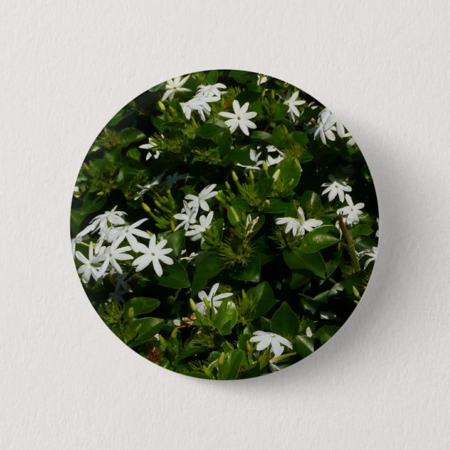 Jasmine Flowers Tropical Floral Botanical 6 Cm Round Badge (Front)