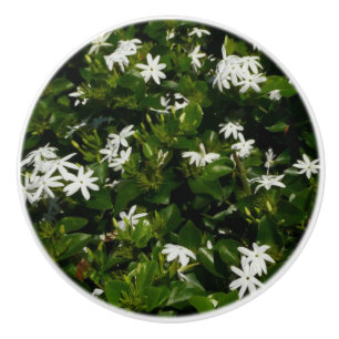 Jasmine Flowers Tropical Floral Botanical Ceramic Knob