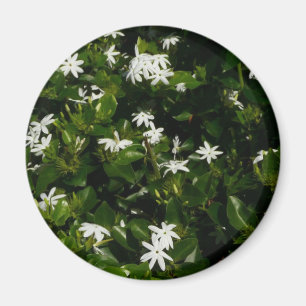 Jasmine Flowers Tropical Floral Botanical Magnet