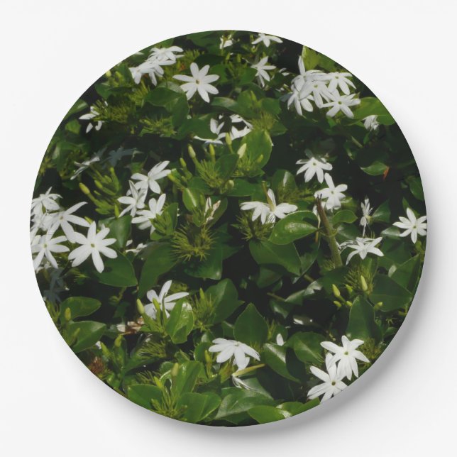 Jasmine Flowers Tropical Floral Botanical Paper Plate (Front)