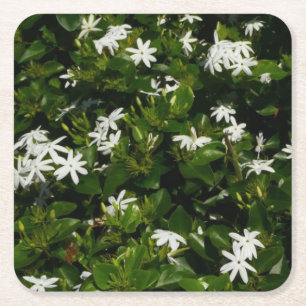 Jasmine Flowers Tropical Floral Botanical Square Paper Coaster