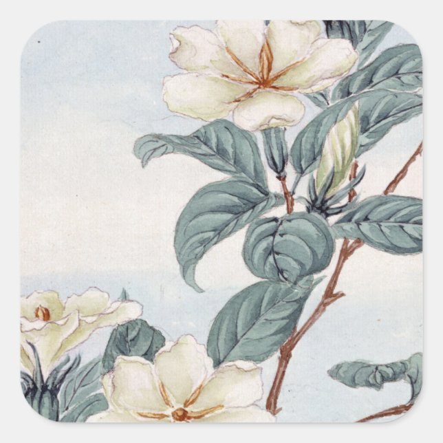 Jasmine Flowers (Vintage Japanese Art) Square Sticker (Front)