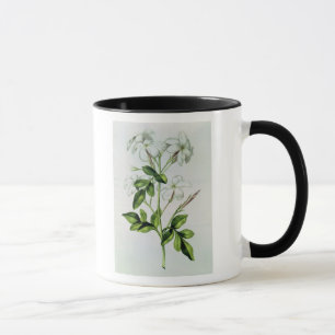 Jasmine, from 'La Guirlande de Julie' Mug