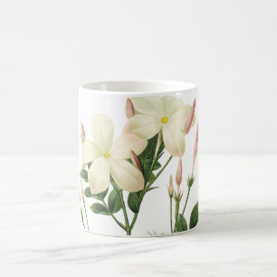 jasmine(Jasminum grandiflorum) by Redouté Coffee Mug