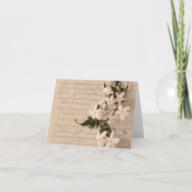 jasmine on old script handwriting notecard (Front)