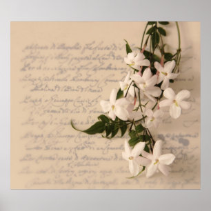 jasmine on old script handwriting poster colossal