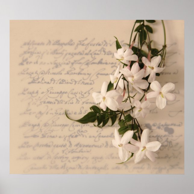 jasmine on old script handwriting poster large (Front)