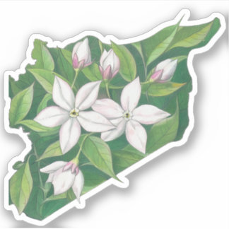 Jasmine Syria Map خريطة سوريا ياسمين
