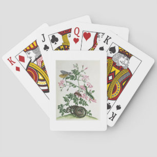 Jasmine: with snake, moth, caterpiller and chrysal playing cards