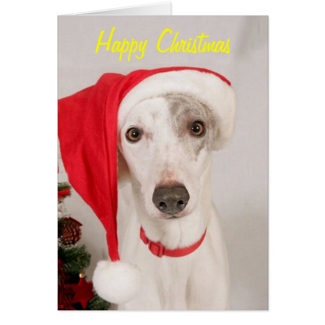 Jasper the Christmas Dog (Front)