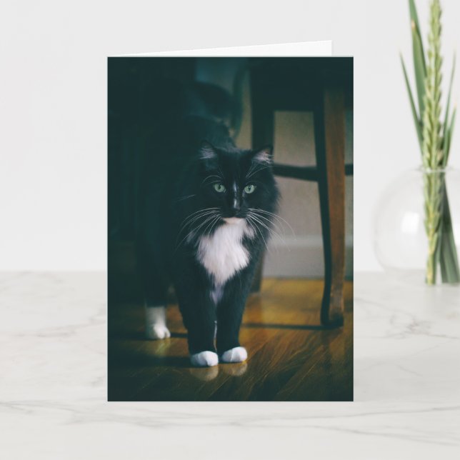 Jasper the tuxedo cat card (Front)