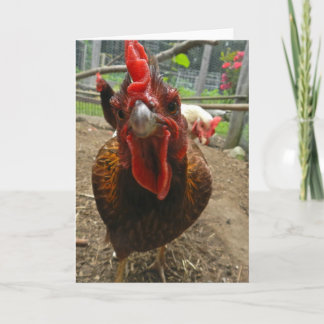 Jasper the Welsummer Hen Note Card
