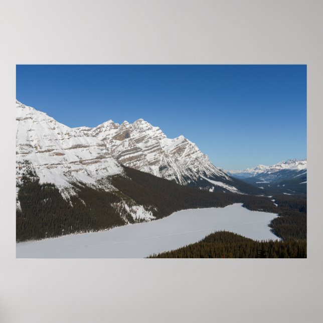 Jasper's Snowy Peyto Lake Poster (Front)