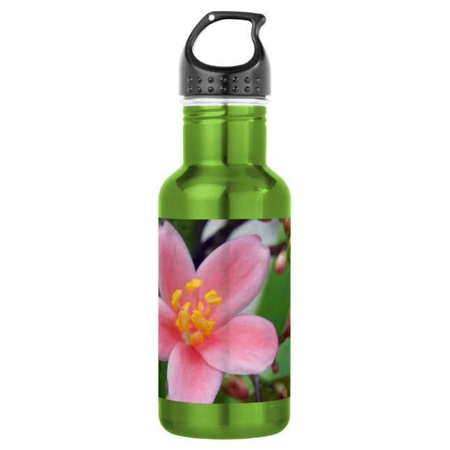 Jatropha Flower and flower buds 532 Ml Water Bottle (Front)
