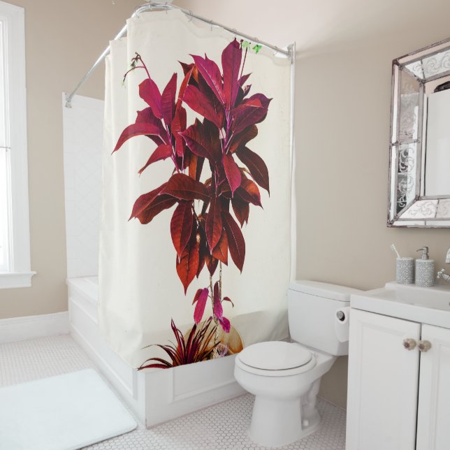 Jatropha Plant in Deep Red Shower Curtain (In Situ)