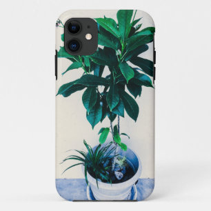 Jatropha Plant in Natural Green iPhone 11 Case