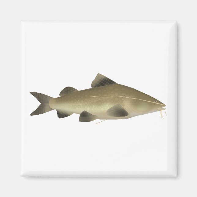 Jaú Catfish Magnet (Front)